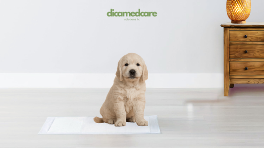 The Ultimate Guide to Dog Training Underpads: The Best Choice for Your Pet!